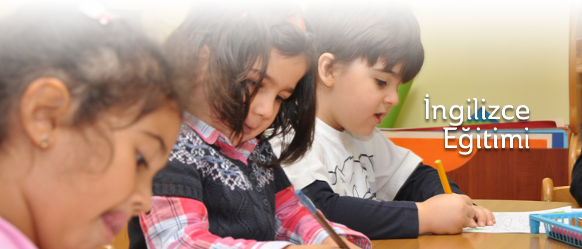 İngilizce Eğitimi